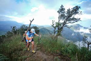 BIB: 800
                            <button type="button" onclick="openModal(22372004)" class="btn btn-primary btn-sm float-right btn-popup" data-toggle="modal" data-target=".modal-high-quality">
                        <i class="fas fa-shopping-cart"></i> Add to Cart
                    </button>
                                            <button type="button" onclick="isThisMe(22372004, true)" class="btn btn-success btn-sm float-right btn-popup btn-isme hidden" data-toggle="tooltip" data-placement="bottom" title="นี่คือรูปของคุณใช่ไหม คลิกที่นี่เพื่อเอาเข้าอัลบั้ม">
                        <i class="fas fa-plus"></i> Add to album
                    </button>
                    <button type="button" onclick="isThisMe(22372004, false)" class="btn btn-warning btn-sm float-right btn-popup btn-isnotme hidden">
                        <i class="fas fa-ban"></i> Remove from album
                    </button>